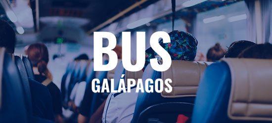 bus galapagos