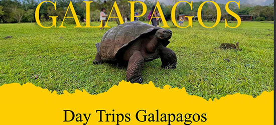 tips galapagos