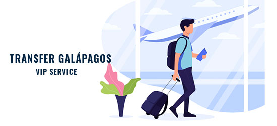 transfer galapagos